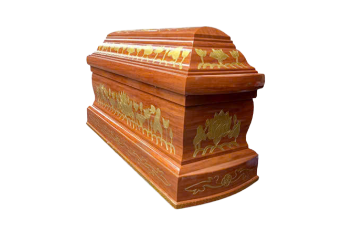 Lục Bình Chạm Sen 