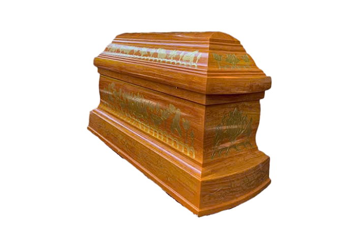 Lục Bình Chạm Sen 