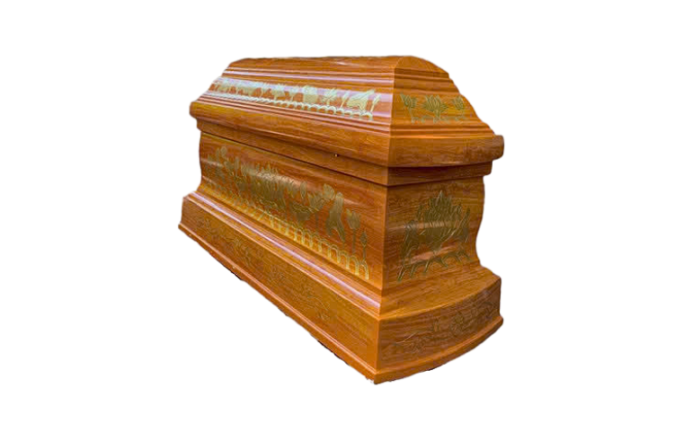 Lục Bình Chạm Sen 